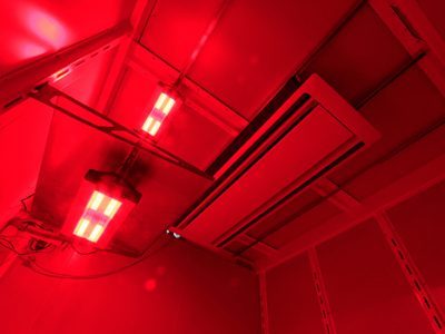 Research-Grade-LED-Lighting-Red-Biora-ox8cr8f7pr7gc761e9gvu5q7rxpf9wo1lradkf1epk